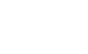 First Team Automotive logo