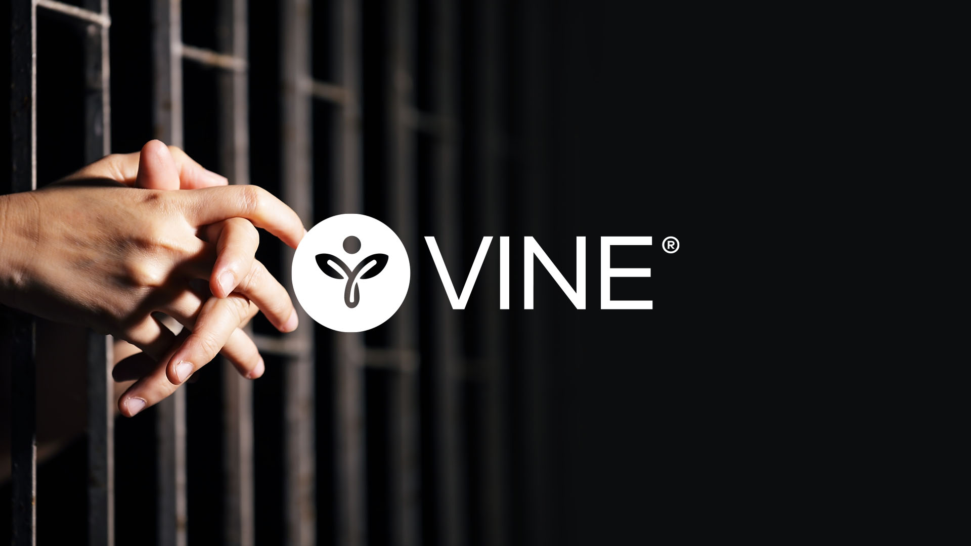 VINE logo and ad