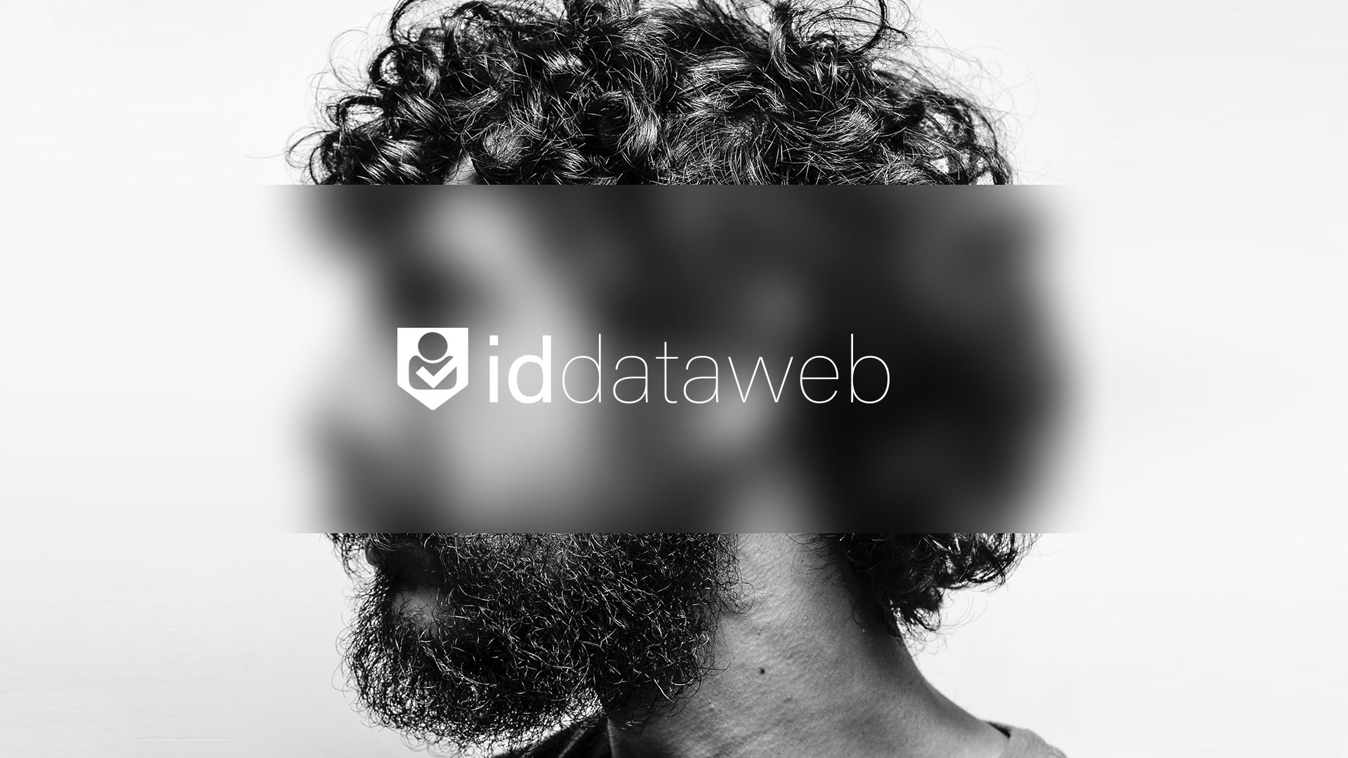 ID Dataweb Design by The King Agency